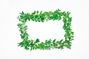 Frame of green leaves . View from above