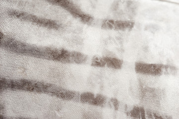 Close up on raw fish