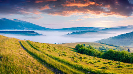 Fototapeta premium Sunny scene in the Carpathian mountains.