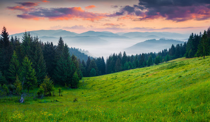 Fototapeta na wymiar Colorful morning scene in the Carpathians