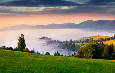 Colorful morning scene in the Carpathians.