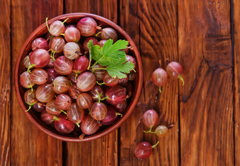 gooseberry