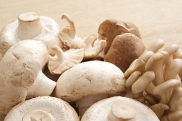 Assortment of fresh whole edible mushrooms