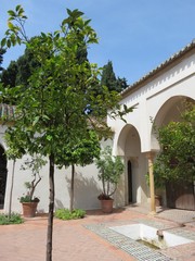 Fototapeta na wymiar Espagne - Andalousie - Malaga - Alcazaba Cour des orangers