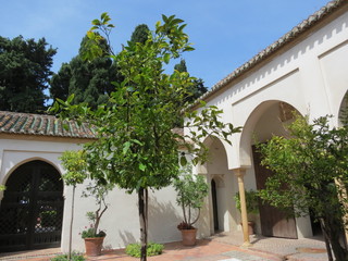 Espagne - Andalousie - Malaga - Alcazaba - Cour des orangers