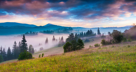 Mountain valley in the morning mist