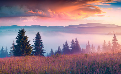 Naklejka na ściany i meble Colorful morning scene in the Carpathian mountains