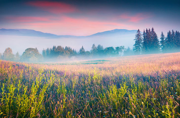 Panele Szklane Podświetlane  Kolorowa letnia scena w mglistej górskiej wiosce.