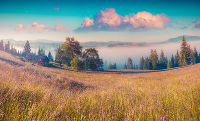 Colorful morning scene in the mountains