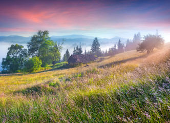 Naklejka premium Colorful morning scene in the mountains