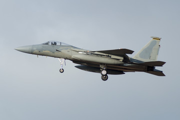 F-15 Eagle