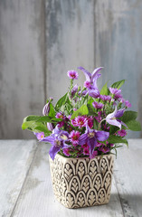 Floral arrangement with delphinium flowers