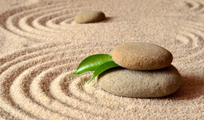 Fototapeta na wymiar stones and green leaf on the sand with circles