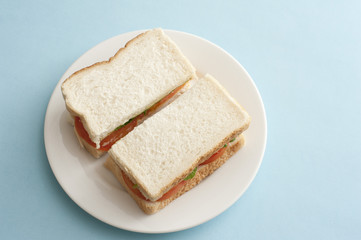 Fototapeta na wymiar Plain White bread sandwich