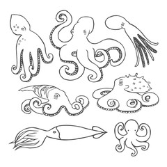 Hand drawn octopus set
