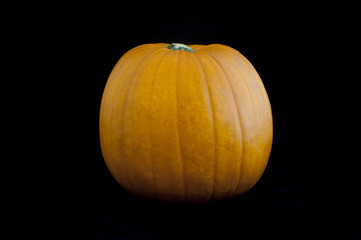 Fresh whole pumpkin