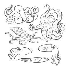 Hand drawn octopus set
