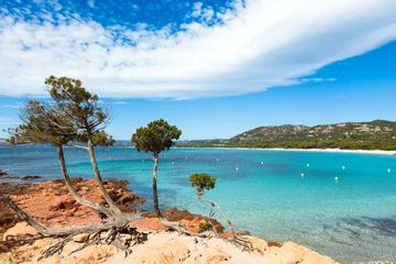 Foto op Plexiglas Palombaggia strand, Corsica Palombaggiastrand op het eiland Corsica in Frankrijk