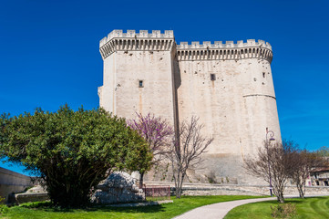 Château de Tarascon.