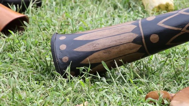 didjeridoo horn