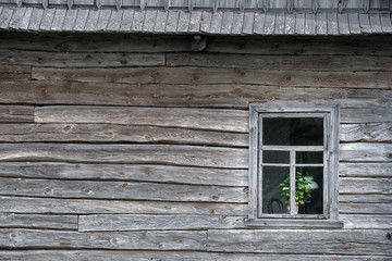 Naklejka na ściany i meble Old wooden house in village