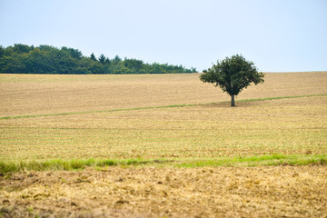 Obraz premium Asphalt road