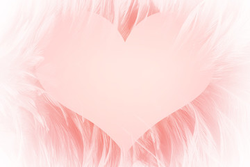 Pink Background love heart feather angels for design elements,Happy valentines day,wedding card