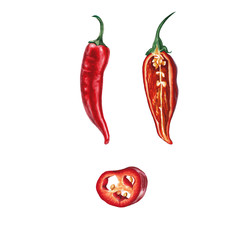 Watercolor chili pepper set