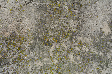 Old concrete with decal