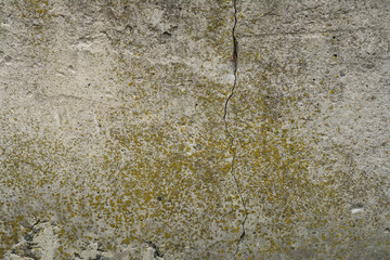 Old concrete with decal