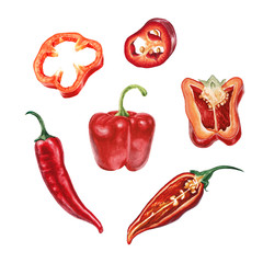 Watercolor chili and red pepper set - 119829525
