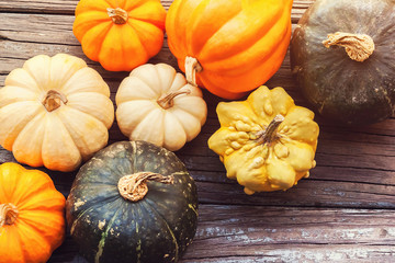 Fall ornamental pumpkins