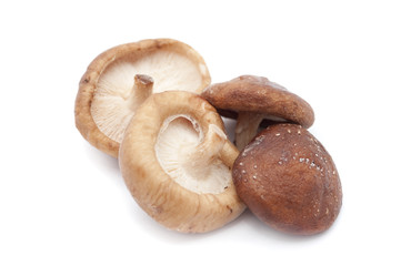 Fresh shiitake mushrooms