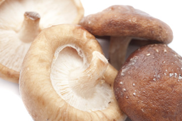 Fresh shitake mushrooms