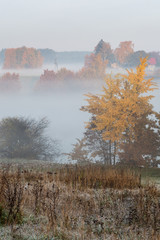 On the shore of a lake in autumn. Foggy morning.