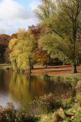 Fototapeta na wymiar Herbst am See