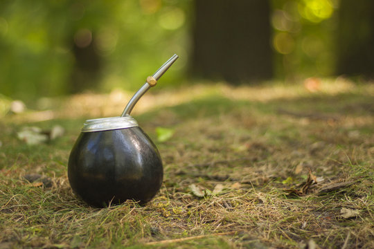 yerba mate
