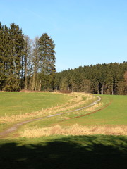 Ländliche Gegend bei Paderborn, NRW