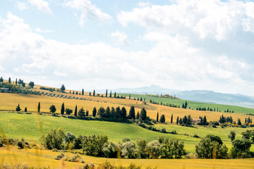 Naklejka premium Beautiful tuscan landscape view on the green meadow with farmlands near Montepulciano town in Italy