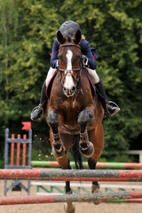saut d'obstacle en équitation