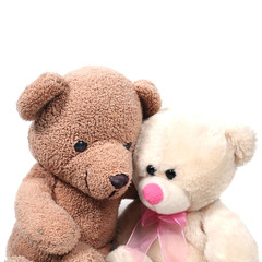 Couple teddy bears hugging on white background.