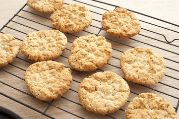 Freshly baked anzac cookies on tray