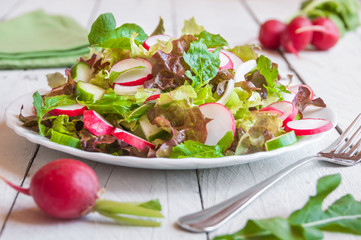 Vegetable salad with radish on wooden table