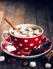 Hot chocolate with cinnamon and marshmallow