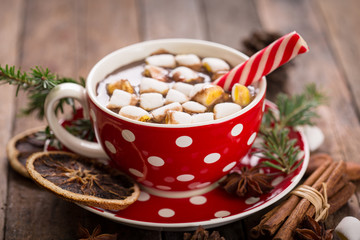 Christmas hot chocolate with marshmallow