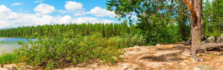 Panoramic view on the shore of lake with forest on the background.