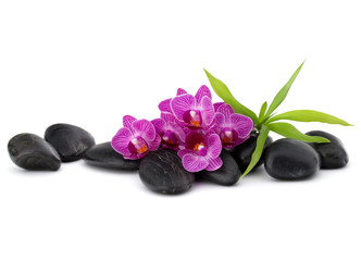 Obraz na płótnie Canvas Zen pebbles and orchid flower. Stone spa and healthcare concept.