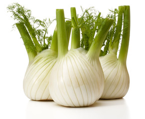 Fresh fennel bulb isolated on white background close up