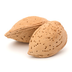 Almond nut in shell isolated on white background close up