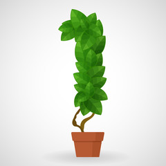 Green foliage houseplant vector alphabet. Figures.